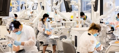 Key Takeaways from the ADC Annual Report